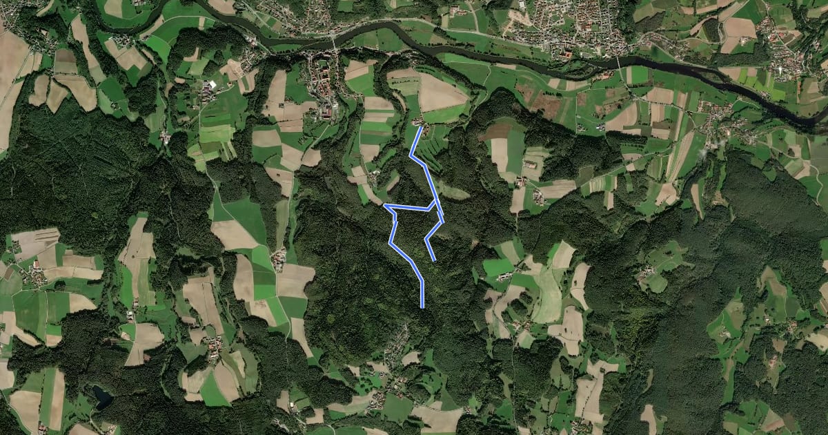 Маршрут Wilder Mann 48 / Wb 3 »Lindnerweg«, Naturpark Vorderer Bayerischer Wald на спутниковом снимке