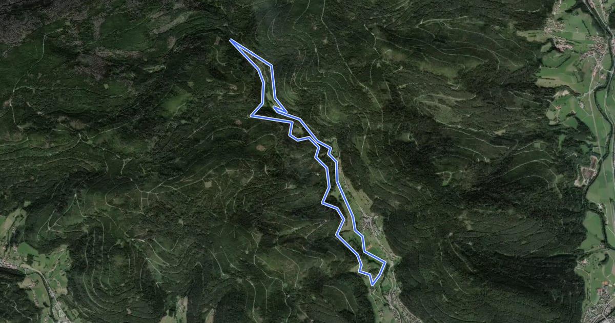 Маршрут Wilder Wald im Wandel на спутниковом снимке