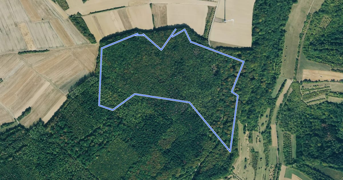 Маршрут Wilder Wald Weg на спутниковом снимке