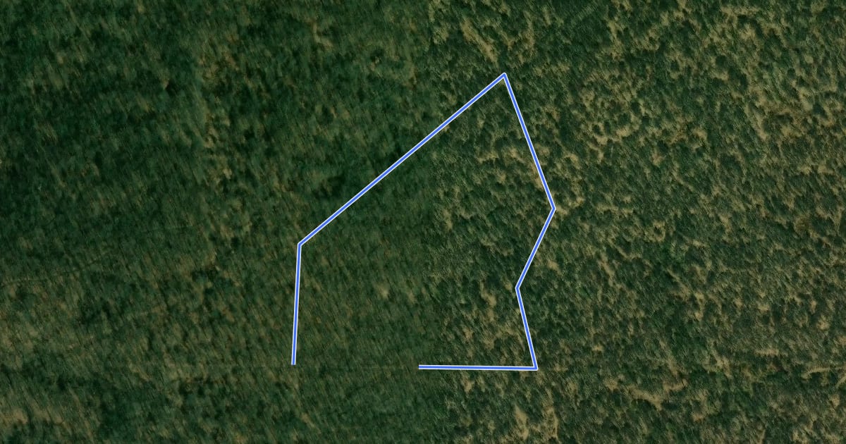 Маршрут Wilderness Loop на спутниковом снимке