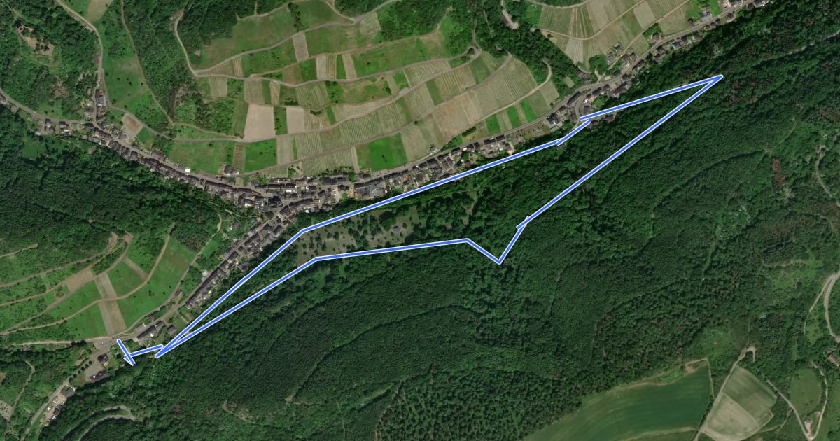 Маршрут Wildgehege-Rundweg на спутниковом снимке