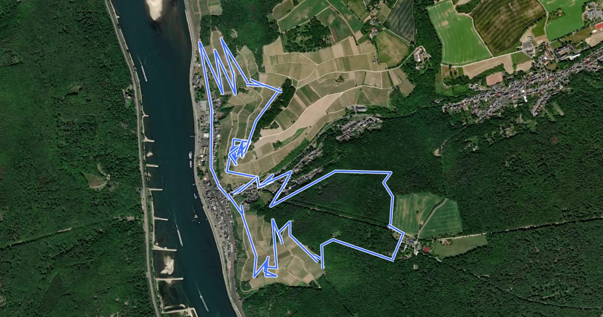 Маршрут Wildkräuterweg Assmannshausen на спутниковом снимке