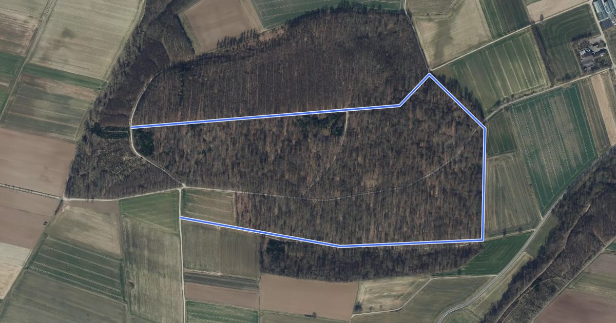 Маршрут Wildlehrpfad des HVV Bilshausen на спутниковом снимке