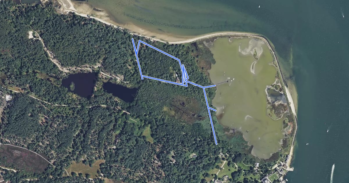 Маршрут Wildlife and Wetland Walk, Brownsea Island на спутниковом снимке