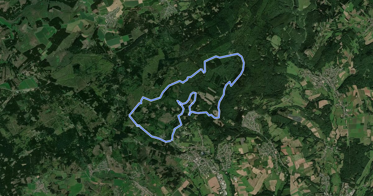Маршрут Wildnis-Trail Weiskirchen на спутниковом снимке
