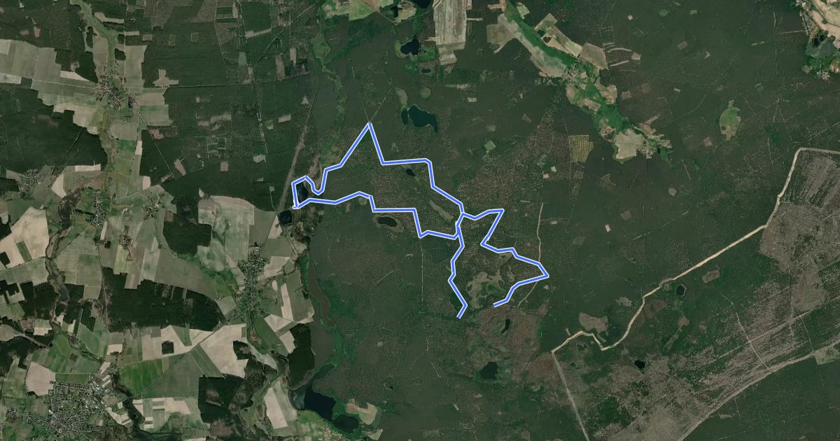 Маршрут Wildnispfad Lieberoser Heide "Käuzchen" abgekürzt на спутниковом снимке