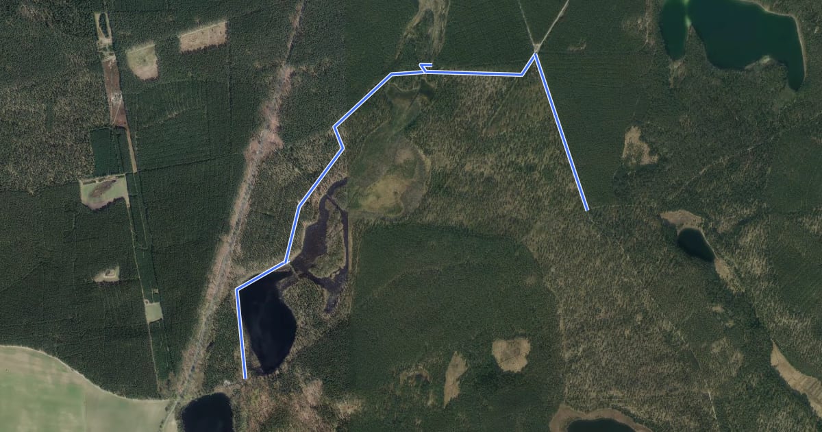 Маршрут Wildnispfad Lieberoser Heide "Libelle" на спутниковом снимке