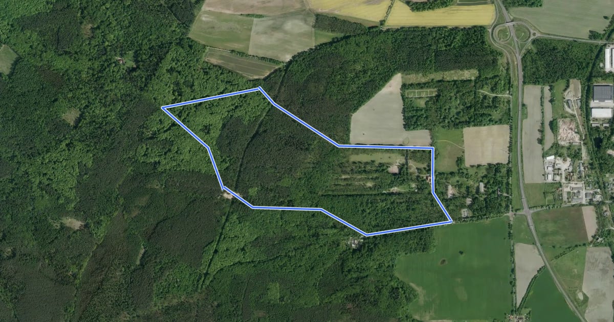 Маршрут Wildparkrunde на спутниковом снимке