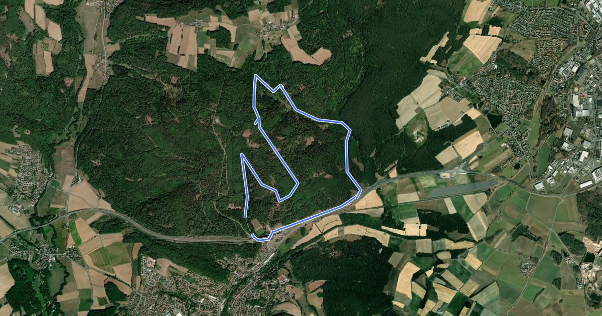 Маршрут Wildparkweg на спутниковом снимке