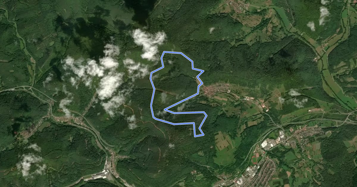 Маршрут Wildsauweg Gräfenhausen на спутниковом снимке