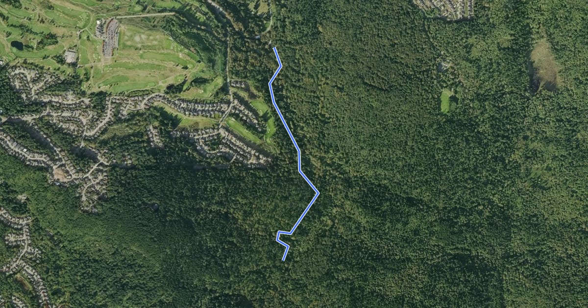 Маршрут Wildside Trail на спутниковом снимке