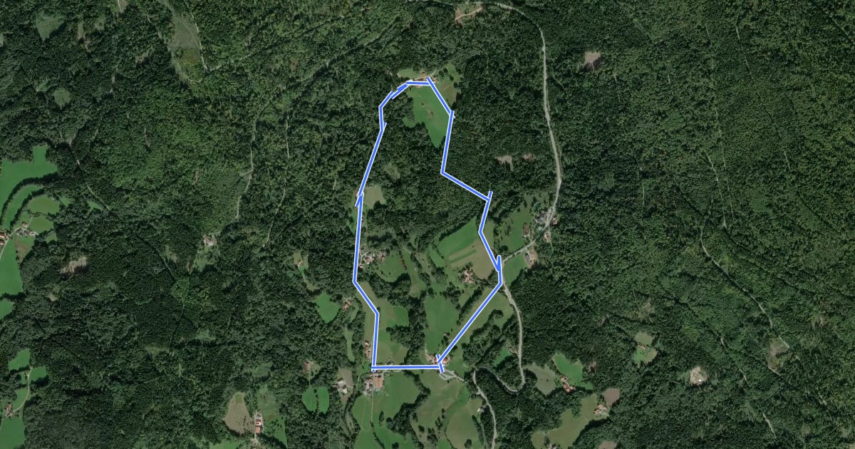 Маршрут Wildwanderweg на спутниковом снимке
