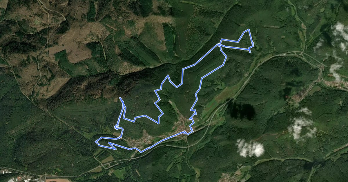 Маршрут Wilgartswieser Burgen-Tour на спутниковом снимке