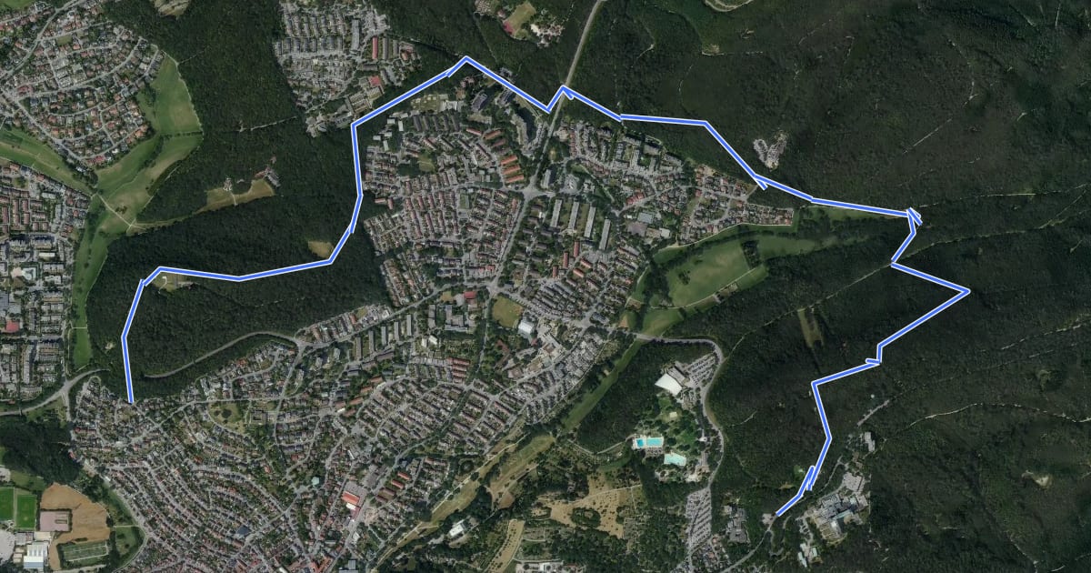 Маршрут Wilhelm-Ganzhorn Weg на спутниковом снимке