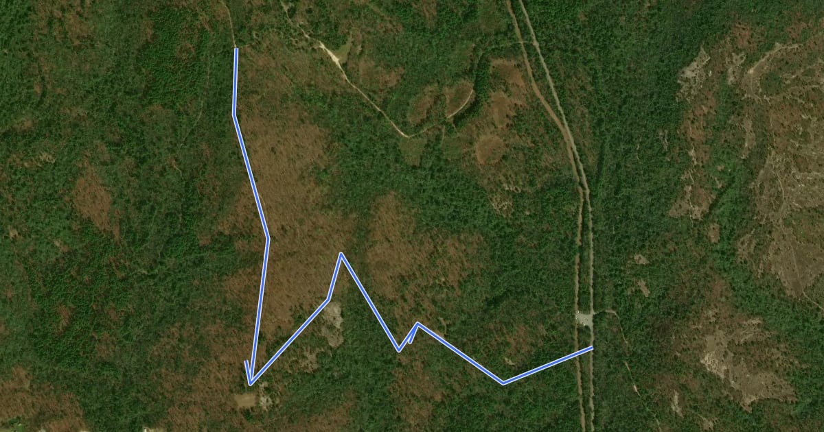 Маршрут Wilkie Trail на спутниковом снимке