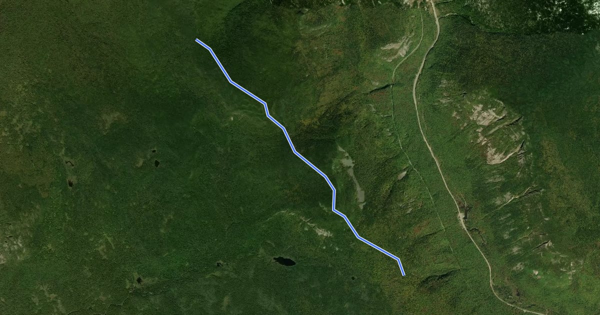 Маршрут Willey Range Trail на спутниковом снимке