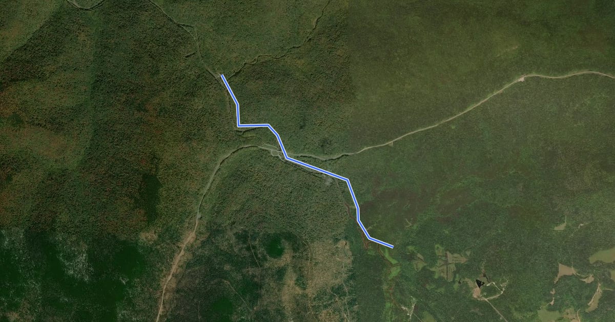 Маршрут Williams River Trail на спутниковом снимке