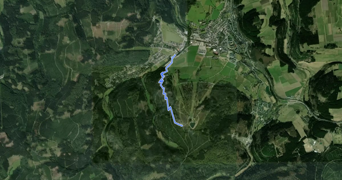 Маршрут Willing Flow Trail на спутниковом снимке