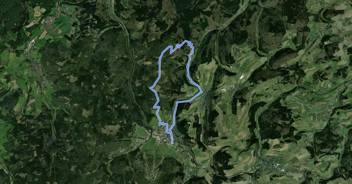 Маршрут Willingen W8 на спутниковом снимке