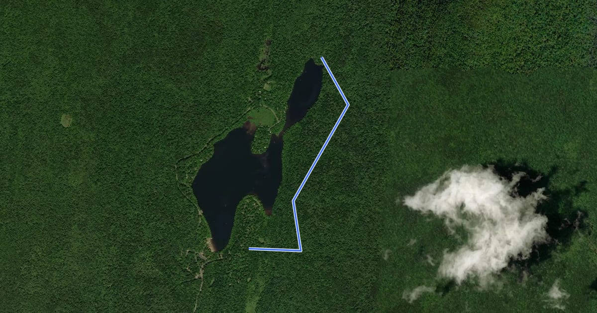 Маршрут Willowemoc Wild Forest Trails на спутниковом снимке