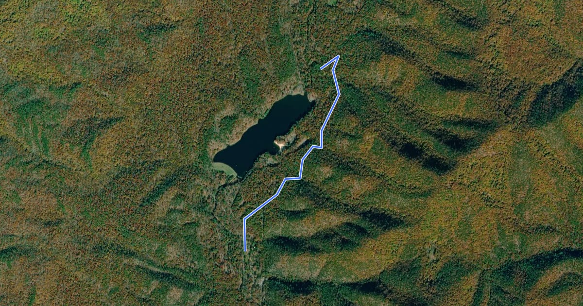 Маршрут Wilson Creek Trail на спутниковом снимке