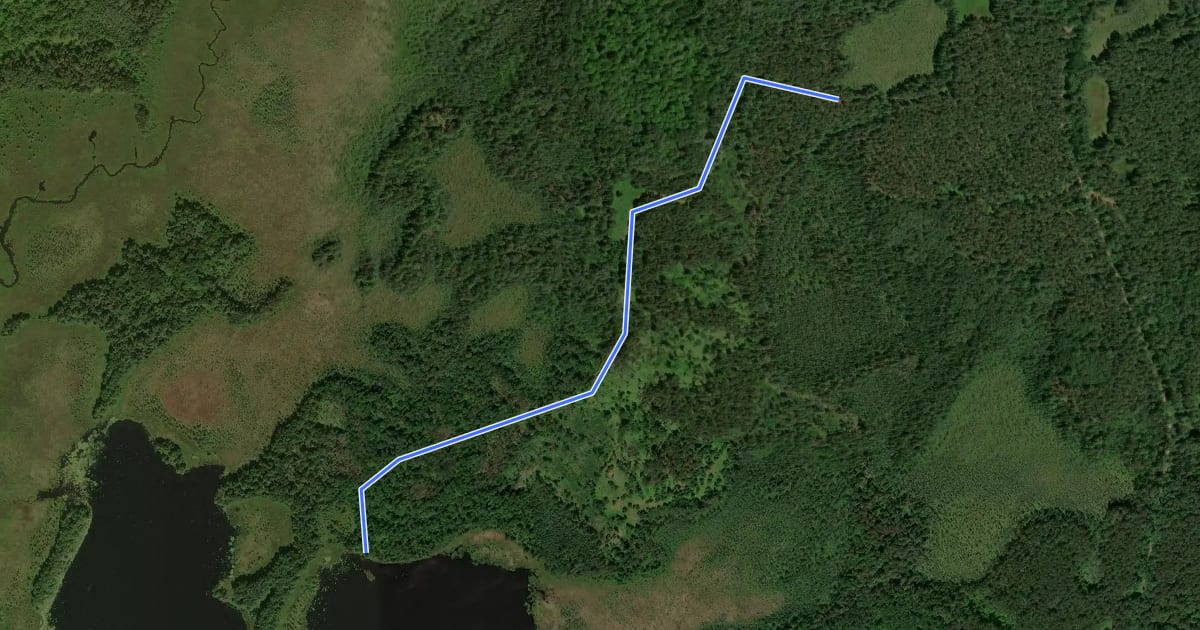 Маршрут Wilson Lake Spur на спутниковом снимке