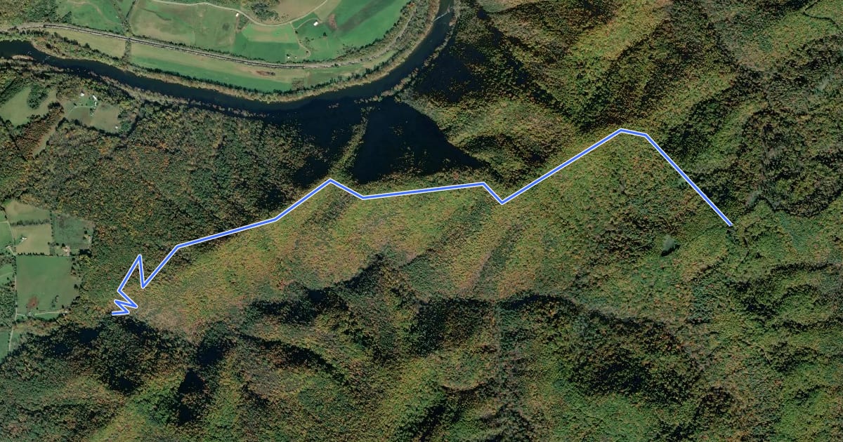 Маршрут Wilson Mountain Trail на спутниковом снимке