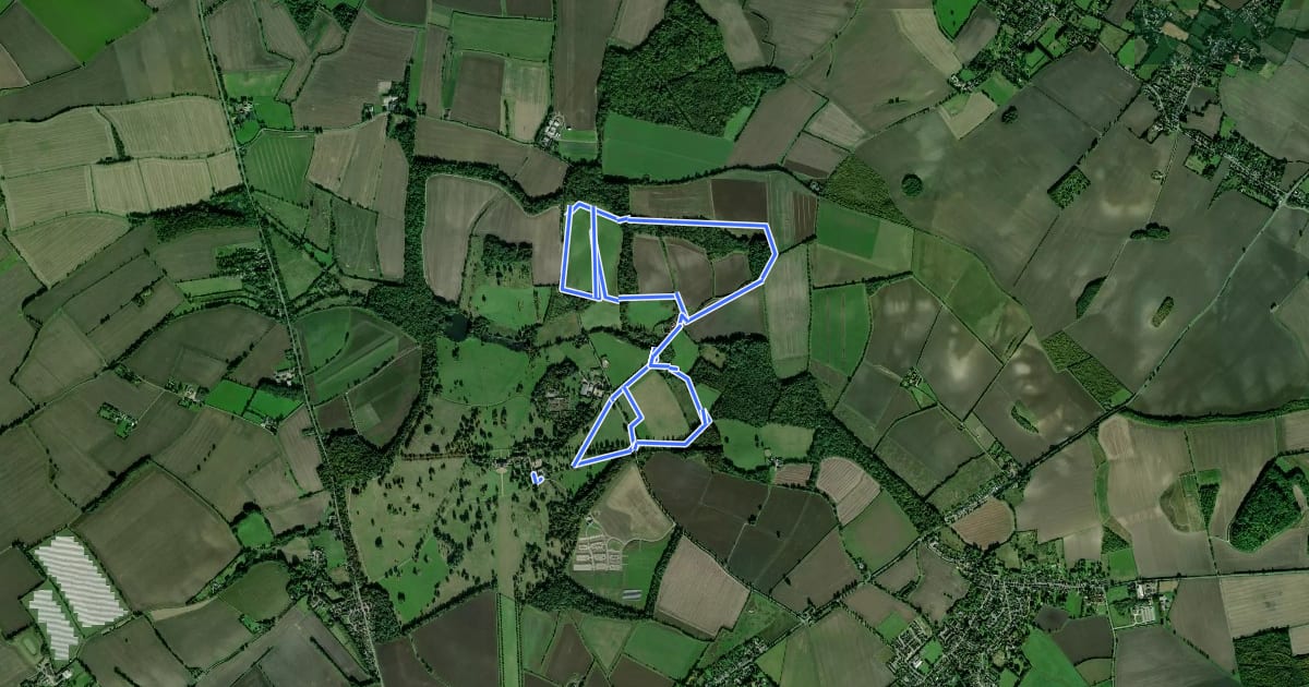 Маршрут Wimpole Estate Thrones 3 Walk на спутниковом снимке
