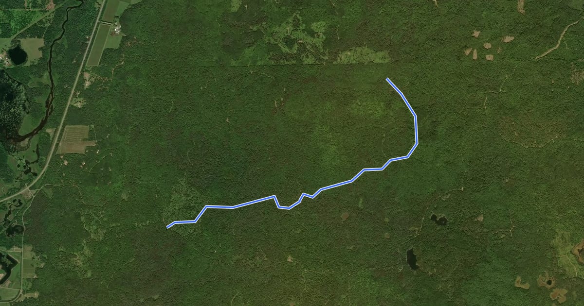 Маршрут Winding Pine на спутниковом снимке