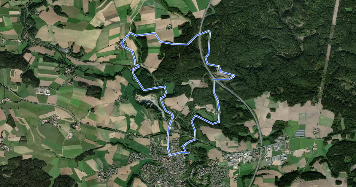 Маршрут Windischeschenbach Rundwanderweg Nr. 10 на спутниковом снимке