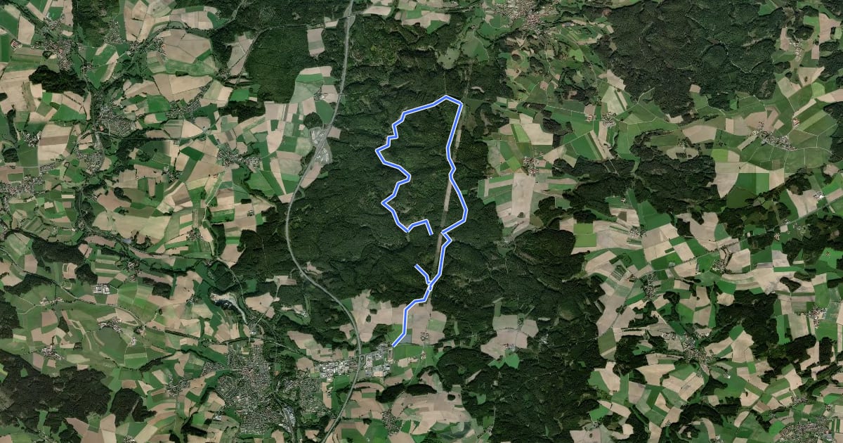 Маршрут Windischeschenbach Rundwanderweg Nr. 2 на спутниковом снимке