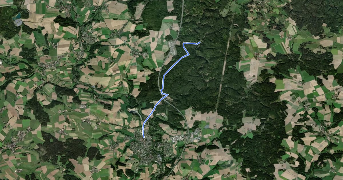 Маршрут Windischeschenbach Wanderweg 1 на спутниковом снимке