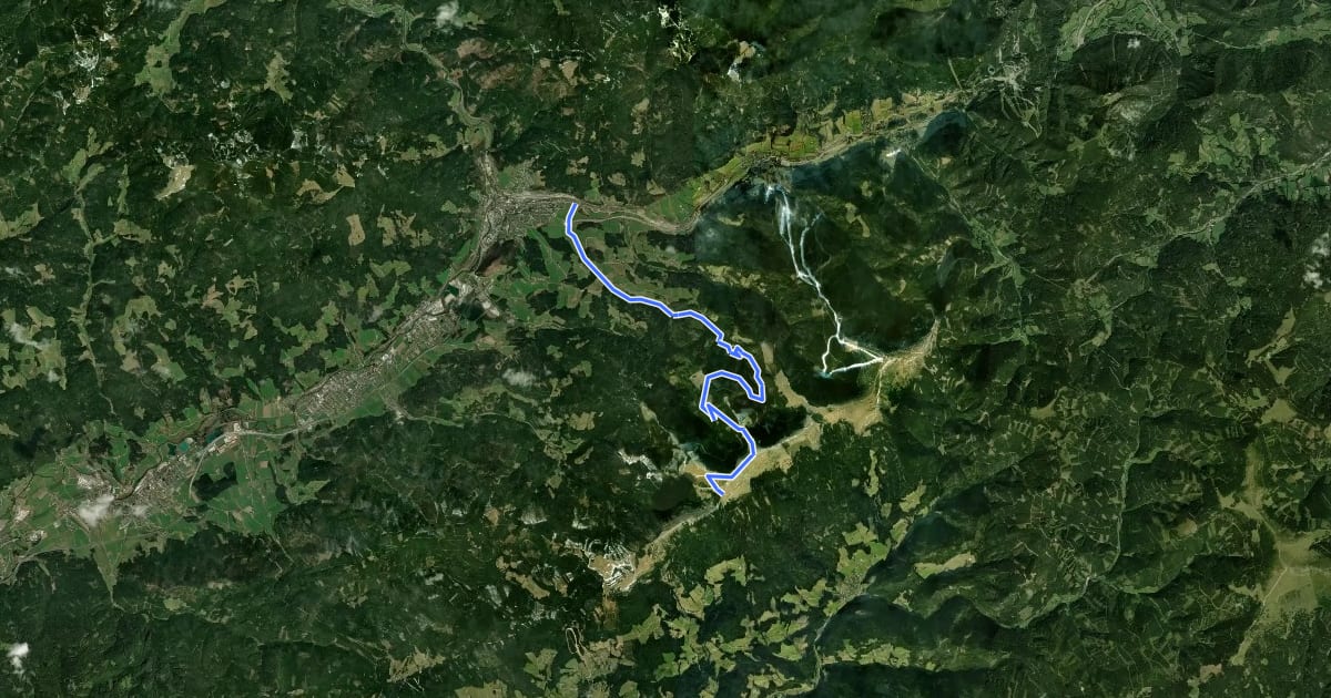 Маршрут Windpark Pretul: Auersbach - Moschkogel - Roseggerhaus на спутниковом снимке