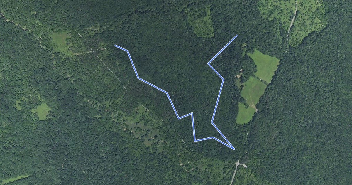 Маршрут Windy Ridge Trail на спутниковом снимке