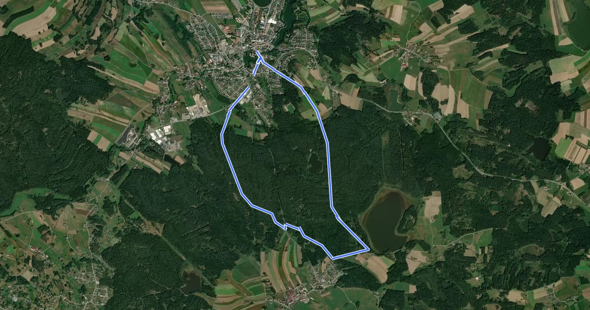Маршрут Winkelauerteich Weg на спутниковом снимке