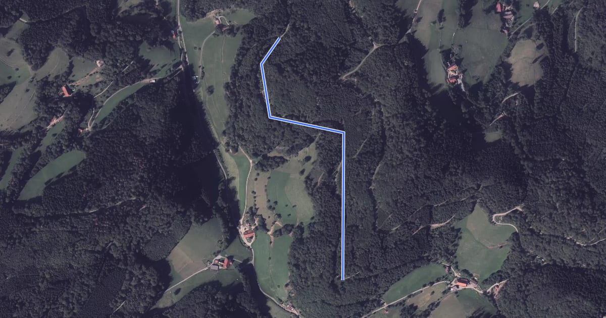 Маршрут Winterberg - Reutegrund на спутниковом снимке