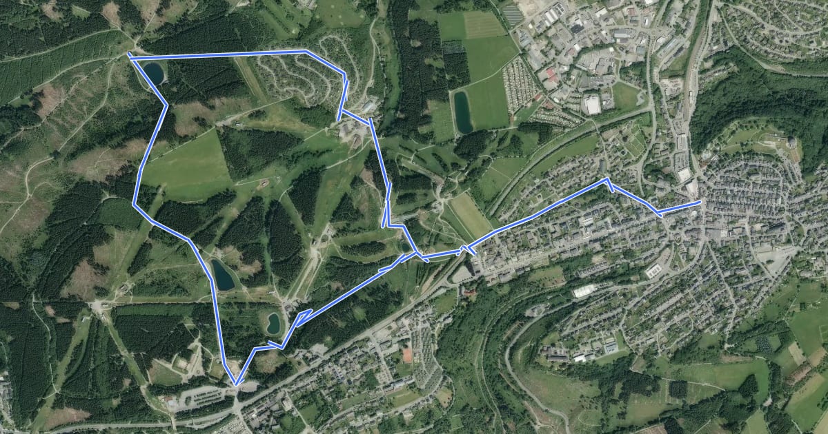 Маршрут Winterberg Rundweg W6 Sürenbergweg на спутниковом снимке