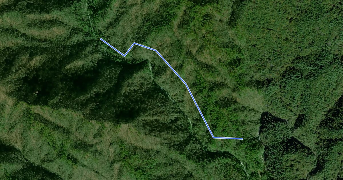 Маршрут Wintergreen Trail на спутниковом снимке
