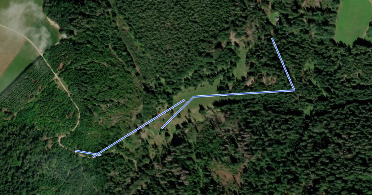 Маршрут Winterrundwanderweg "Brennerin" на спутниковом снимке