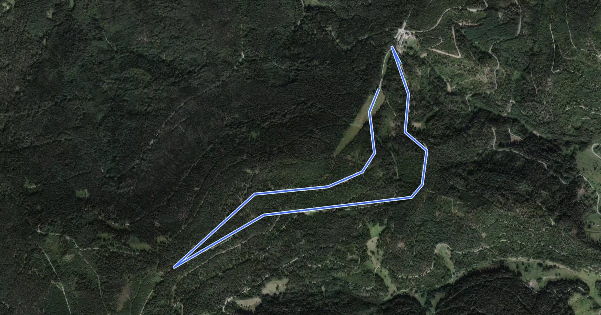 Маршрут Winterwanderweg rote Lache 1 на спутниковом снимке