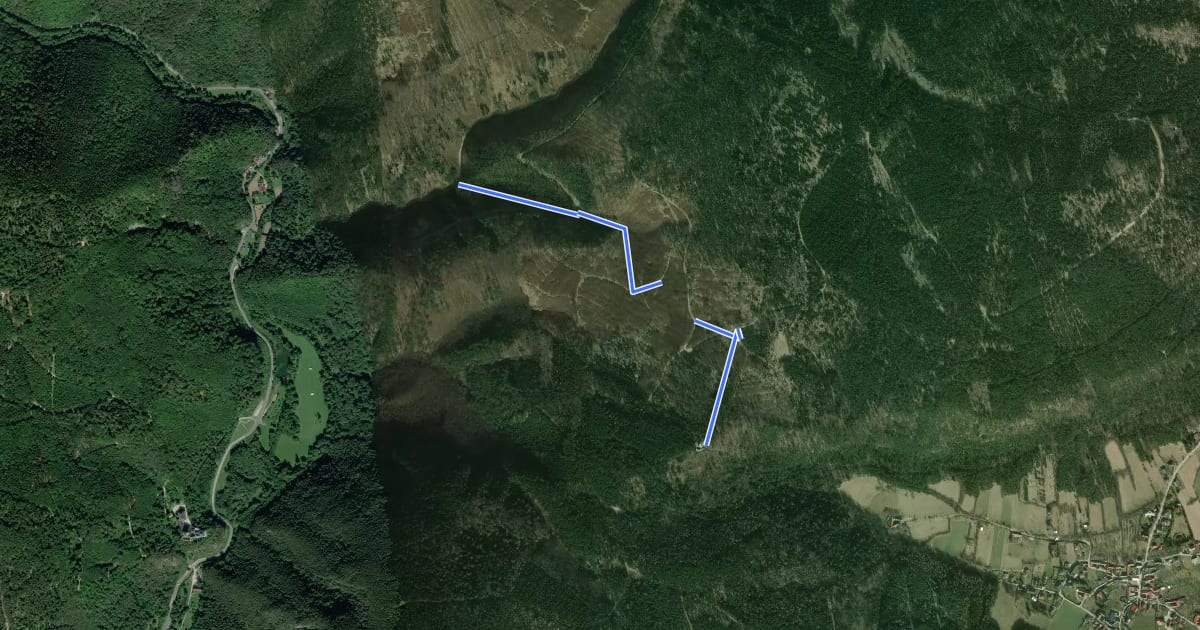 Маршрут Wirtshaus Hinterbrühl - Flatzerhütte (Abzweigung) на спутниковом снимке