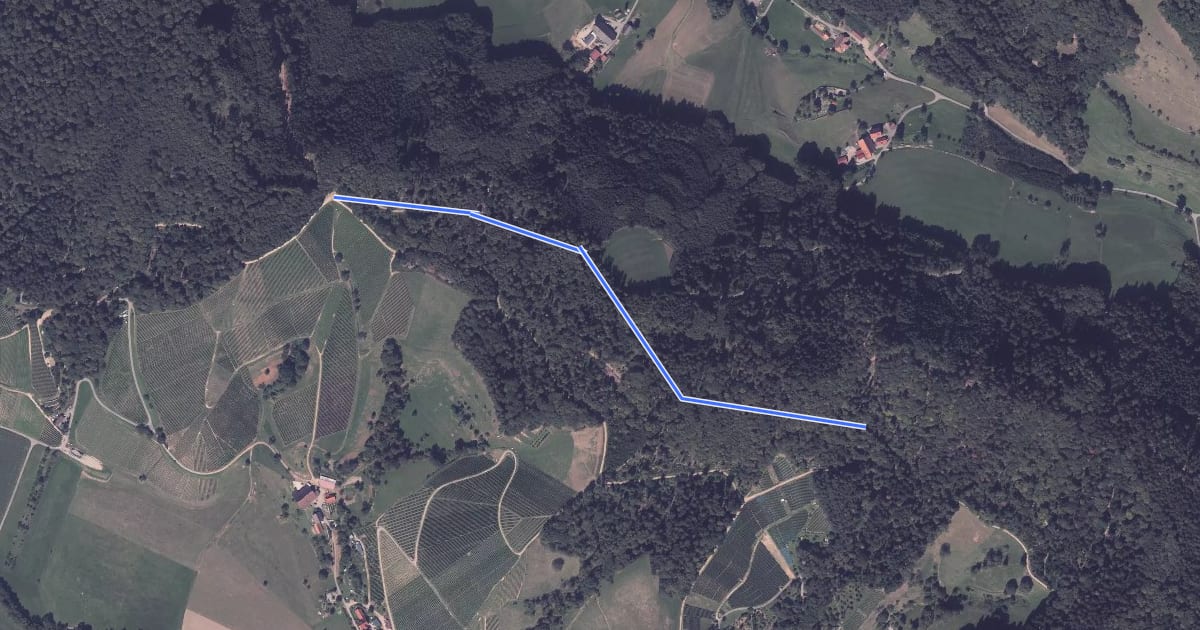 Маршрут Wissereck - Im Schlosswald на спутниковом снимке