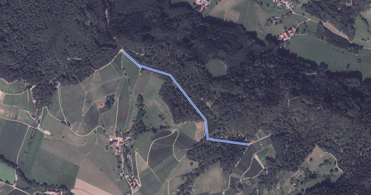 Маршрут Wissereck - Schlossberg на спутниковом снимке