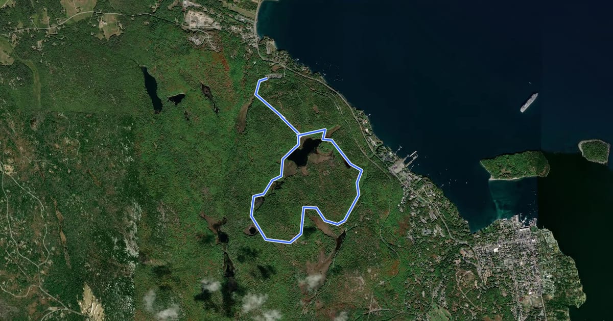 Маршрут Witch Hole Pond Loop на спутниковом снимке