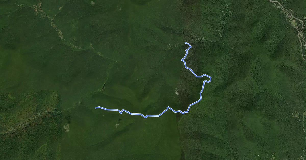 Маршрут Wittenberg - Cornell - Slide Trail на спутниковом снимке