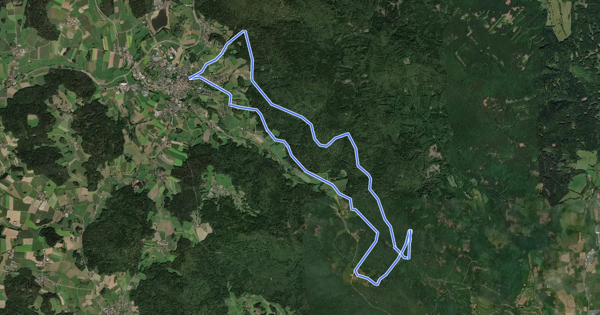 Маршрут Wm05 (Böhmerwaldweg) на спутниковом снимке