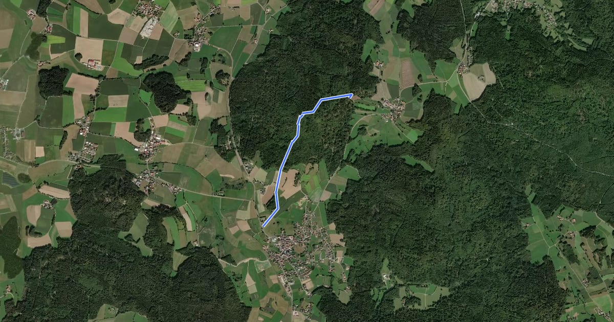 Маршрут Wm14 »Geiganter Zwirenzelweg« на спутниковом снимке
