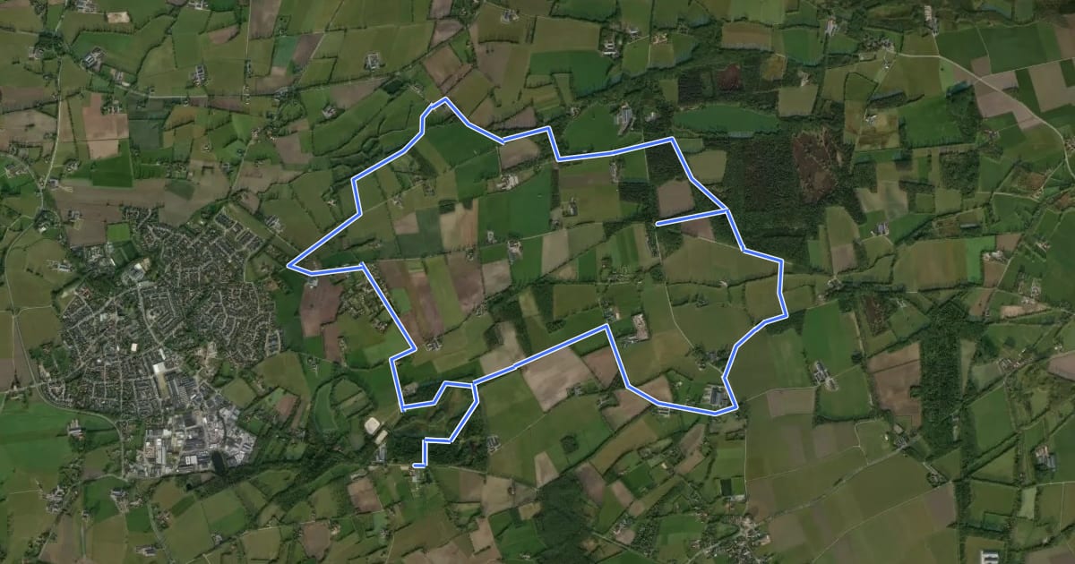 Маршрут WNW Twente - Baasdam/Vasserheide - paarse route на спутниковом снимке
