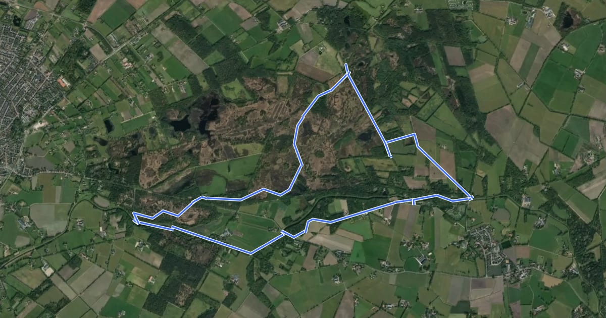 Маршрут WNW Twente - Buurserzand/Oortjesbrug/Rietschot/Ronde Bulten - oranje route на спутниковом снимке