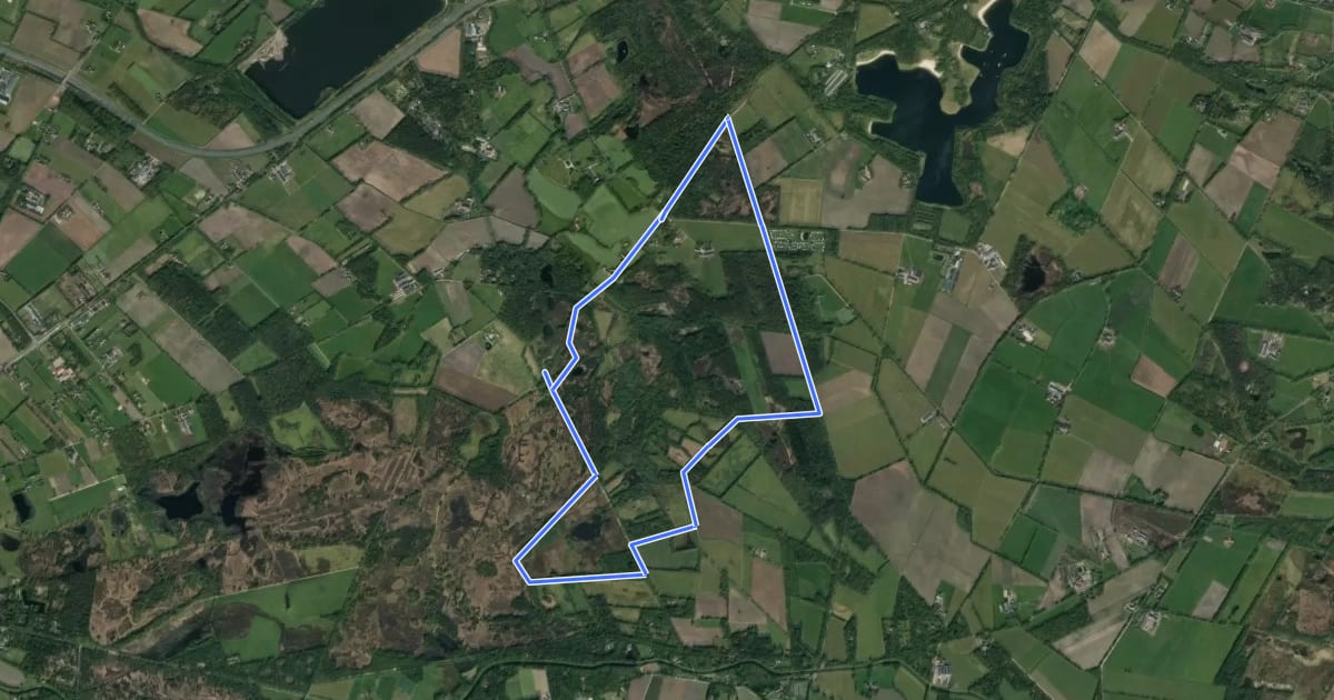 Маршрут WNW Twente - Buurserzand/Rietschot - paarse route на спутниковом снимке